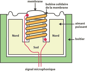 micro_dynamique
