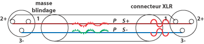 cablage_XLR_symetrique